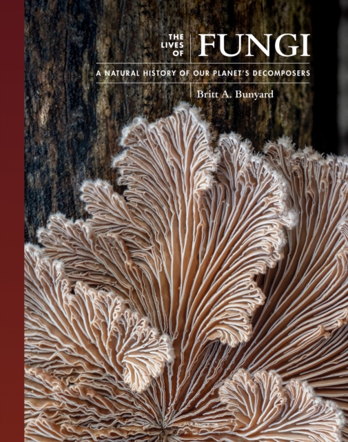 The Lives of Fungi : A Natural History of Our Planet's Decomposers, Hardback Book