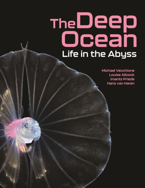The Deep Ocean : Life in the Abyss, PDF eBook