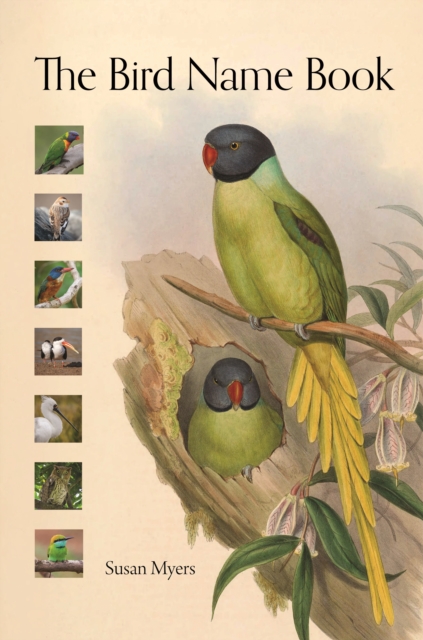 The Bird Name Book : A History of English Bird Names, Hardback Book