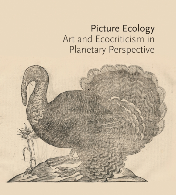 Picture Ecology : Art and Ecocriticism in Planetary Perspective, Paperback / softback Book