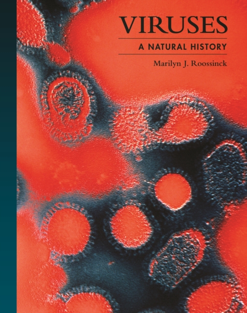 Viruses : A Natural History, Hardback Book