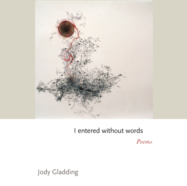 I entered without words : Poems, Hardback Book