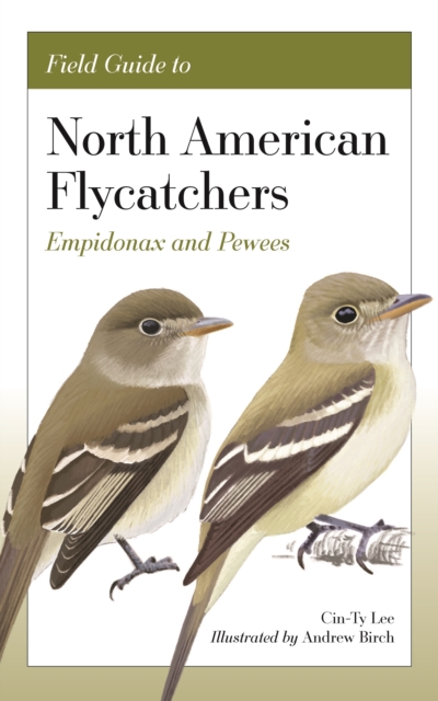 Field Guide to North American Flycatchers : Empidonax and Pewees, Paperback / softback Book