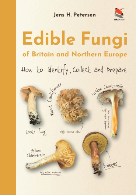 Edible Fungi of Britain and Northern Europe : How to Identify, Collect and Prepare, Hardback Book