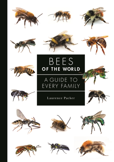 Bees of the World : A Guide to Every Family, PDF eBook
