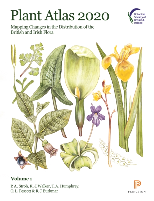 Plant Atlas 2020 : Mapping Changes in the Distribution of the British and Irish Flora, PDF eBook