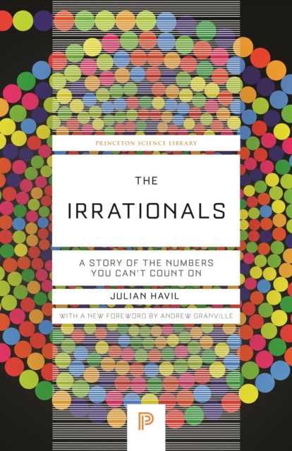 The Irrationals : A Story of the Numbers You Can't Count On, Paperback / softback Book