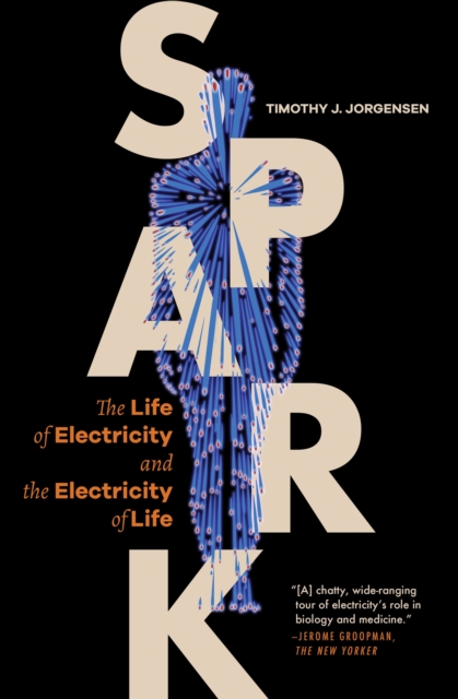 Spark : The Life of Electricity and the Electricity of Life, Paperback / softback Book