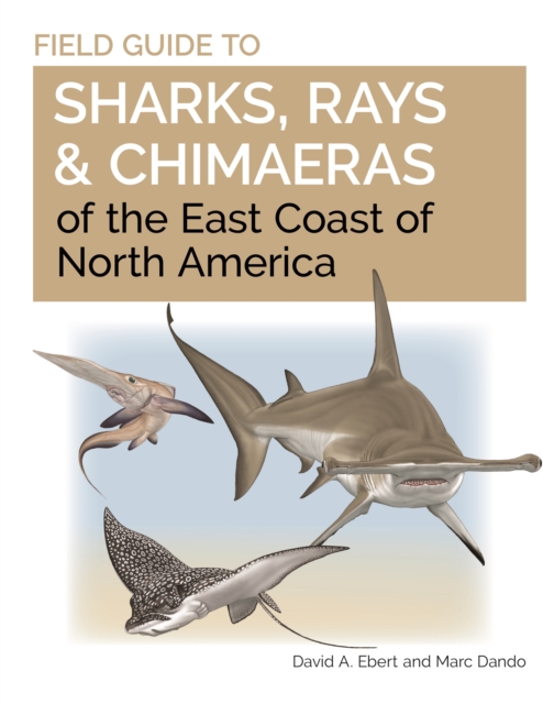 Field Guide to Sharks, Rays and Chimaeras of the East Coast of North America, PDF eBook