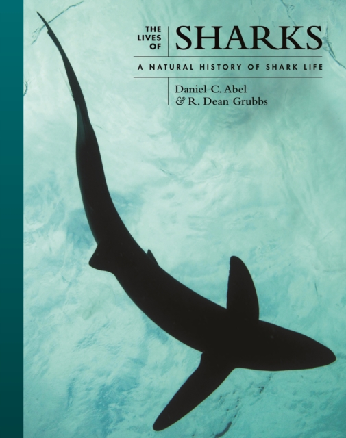 The Lives of Sharks : A Natural History of Shark Life, PDF eBook