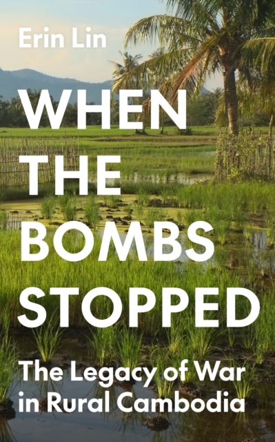 When the Bombs Stopped : The Legacy of War in Rural Cambodia, Paperback / softback Book