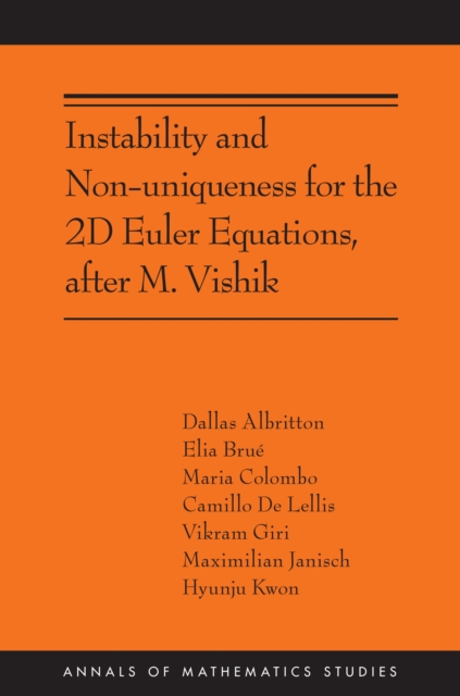 Instability and Nonuniqueness for the 2d Euler Equations, after M. Vishik : (AMS-219), Paperback / softback Book