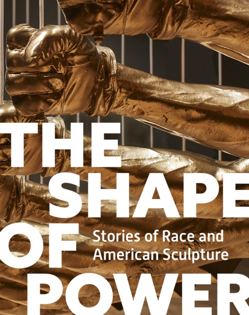 The Shape of Power : Stories of Race and American Sculpture, Hardback Book