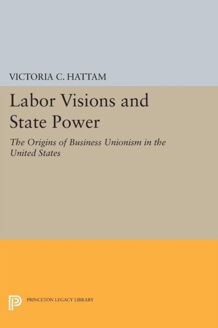 Labor Visions and State Power : The Origins of Business Unionism in the United States, Paperback / softback Book