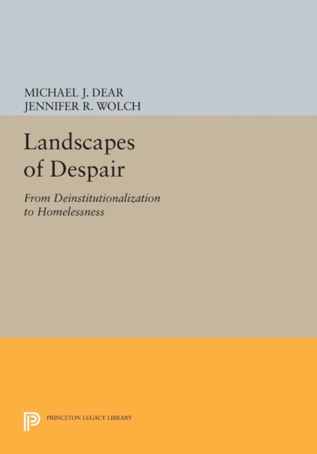 Landscapes of Despair : From Deinstitutionalization to Homelessness, Paperback Book