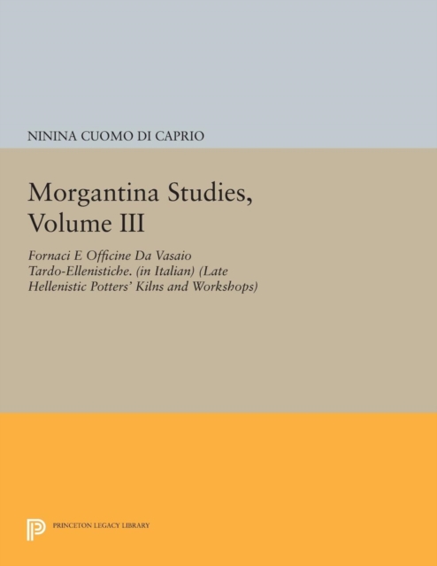 Morgantina Studies, Volume III : Fornaci e Officine da Vasaio Tardo-ellenistiche. (In Italian) (Late Hellenistic Potters' Kilns and Workshops), Paperback / softback Book