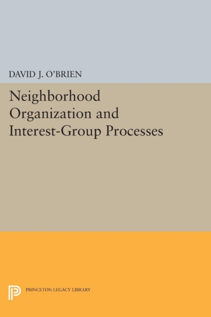 Neighborhood Organization and Interest-Group Processes, Paperback / softback Book