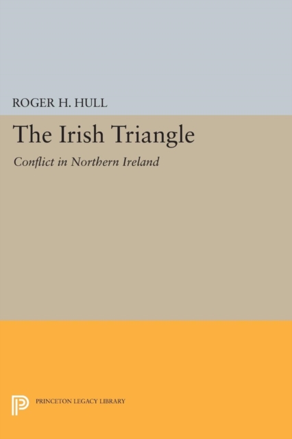 The Irish Triangle : Conflict in Northern Ireland, Paperback / softback Book