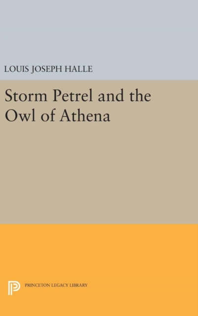 Storm Petrel and the Owl of Athena, Hardback Book