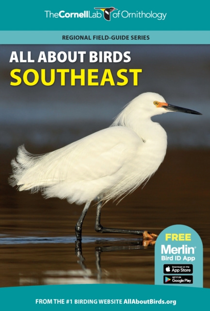 All About Birds Southeast, Paperback / softback Book