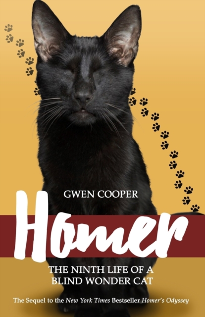 Homer : The Ninth Life of a Blind Wonder Cat, Paperback / softback Book