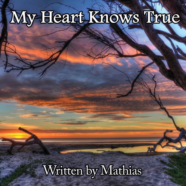 My Heart Knows True : One Man's Inspirational Journey Into the Heart, Paperback / softback Book