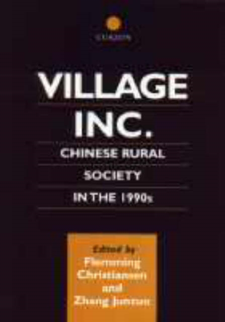 Village Inc. : Chinese Rural Society in the 1990s, Hardback Book