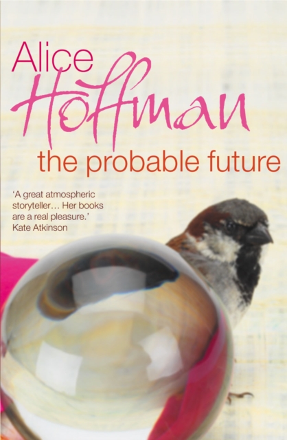 The Probable Future, Paperback / softback Book