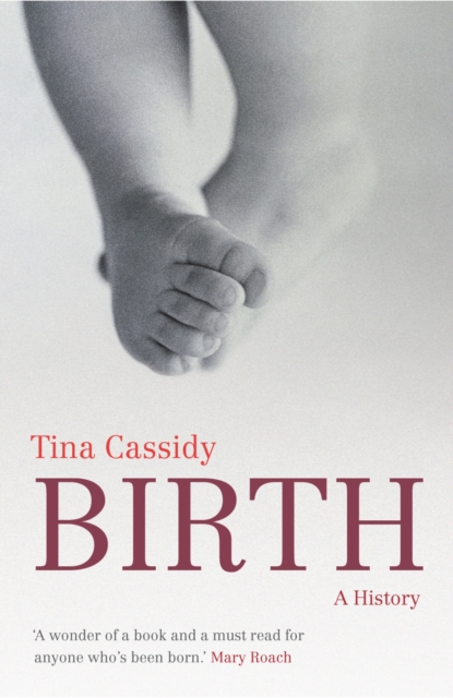 Birth : A History, Paperback / softback Book