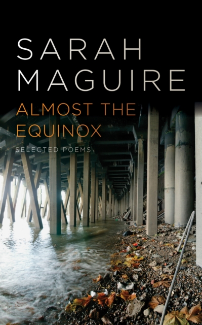 Almost the Equinox : Selected Poems, Paperback / softback Book