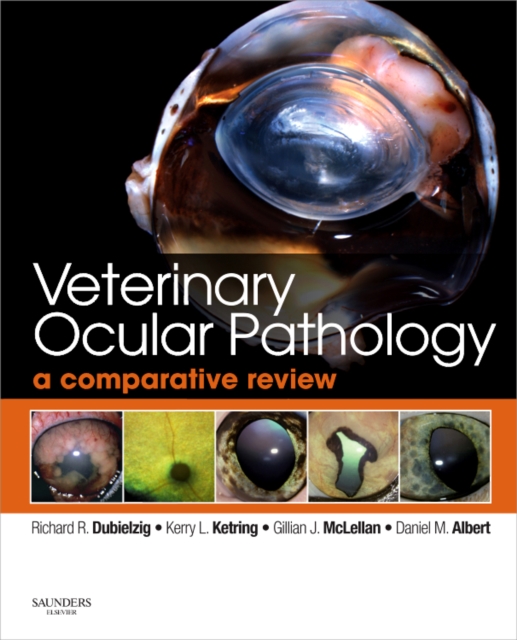 Veterinary Ocular Pathology : A Comparative Review, Hardback Book