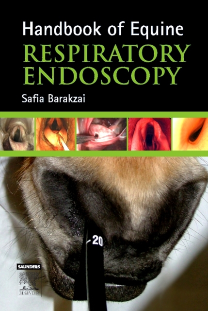 E-Book Handbook of Equine Respiratory Endoscopy : E-Book Handbook of Equine Respiratory Endoscopy, PDF eBook