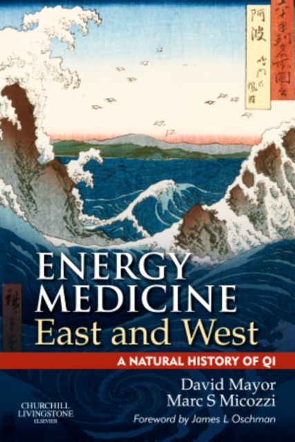 Energy Medicine East and West : A Natural History of QI, Paperback / softback Book