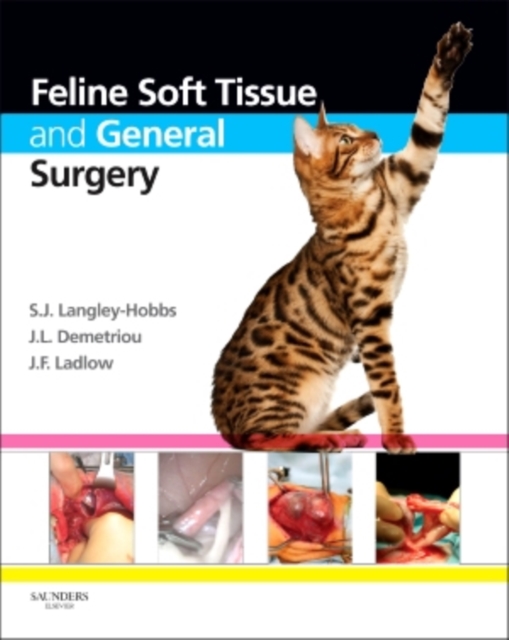 Feline Soft Tissue and General Surgery, Hardback Book