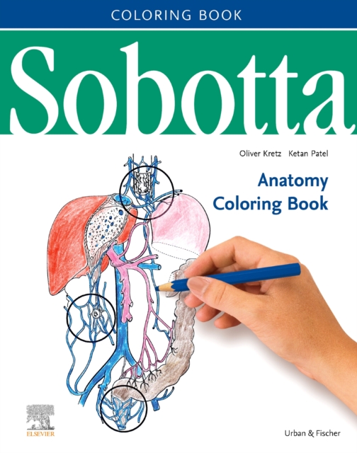 Sobotta Anatomy Coloring Book ENGLISCH/LATEIN, Paperback / softback Book