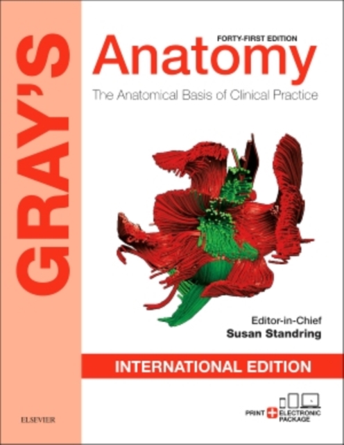 Gray's Anatomy : The Anatomical Basis of Clinical Practice, Paperback Book