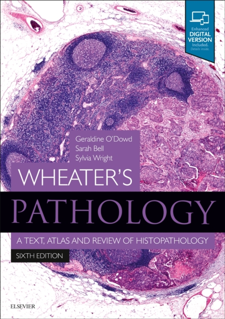 Wheater's Pathology: A Text, Atlas and Review of Histopathology, Paperback / softback Book