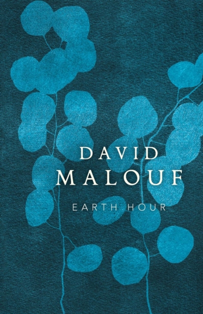 Earth Hour, Hardback Book
