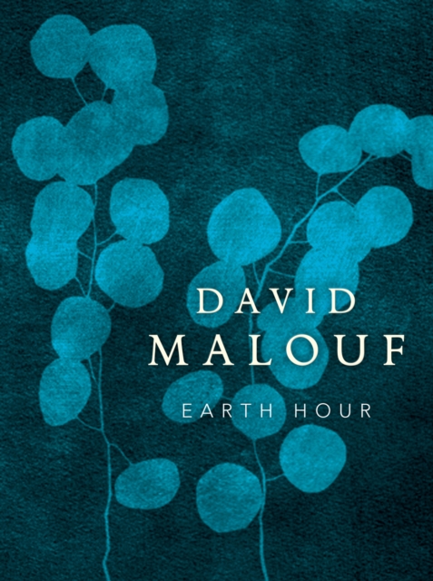 Earth Hour, EPUB eBook