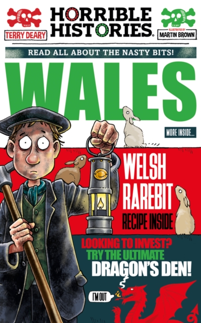 Wales (newspaper edition), Paperback / softback Book
