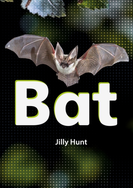 Bat (Set 02), Paperback / softback Book