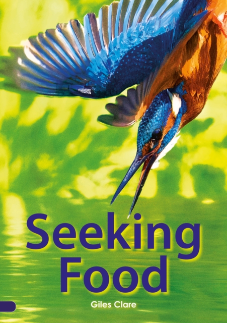 Seeking Food (Set 05), Paperback / softback Book