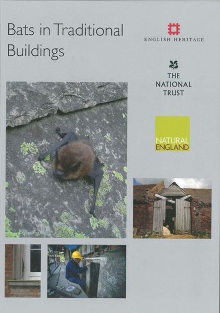 Bats in Traditional Buildings, Paperback / softback Book