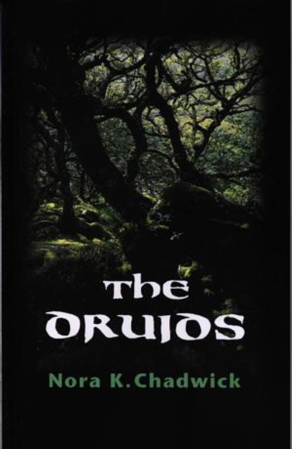 The Druids, Paperback / softback Book
