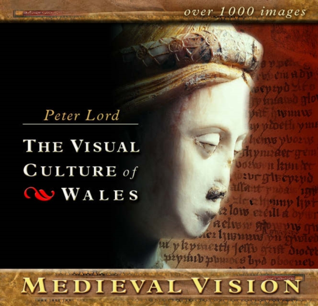 Medieval Vision, CD-ROM Book