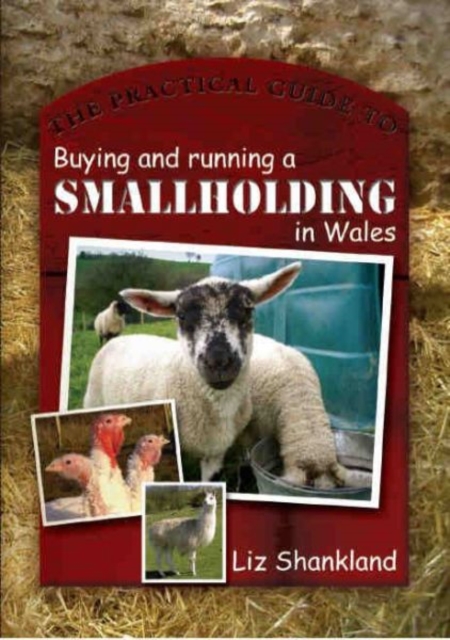 The Practical Guide to Buying and Running a Smallholding in Wales, Paperback / softback Book