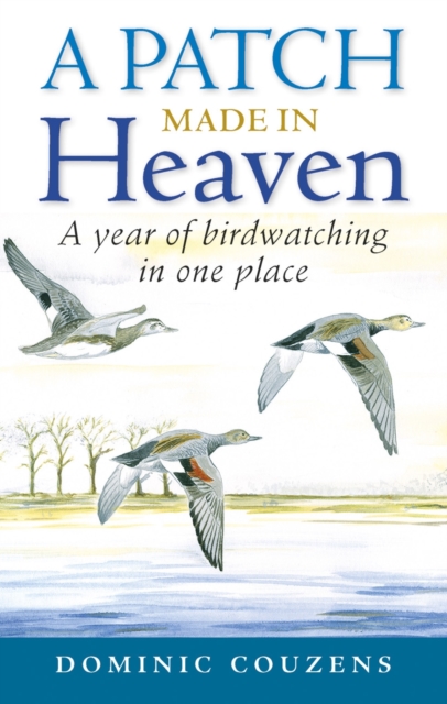 Patch Made in Heaven, Hardback Book