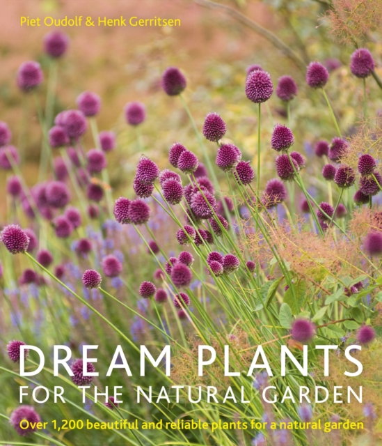Dream Plants for the Natural Garden, Paperback / softback Book