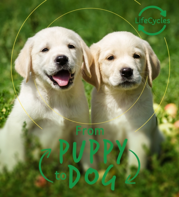 Lifecycles - Pup To Dog, Paperback / softback Book
