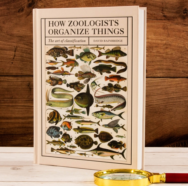 How Zoologists Organize Things : The Art of Classification, EPUB eBook